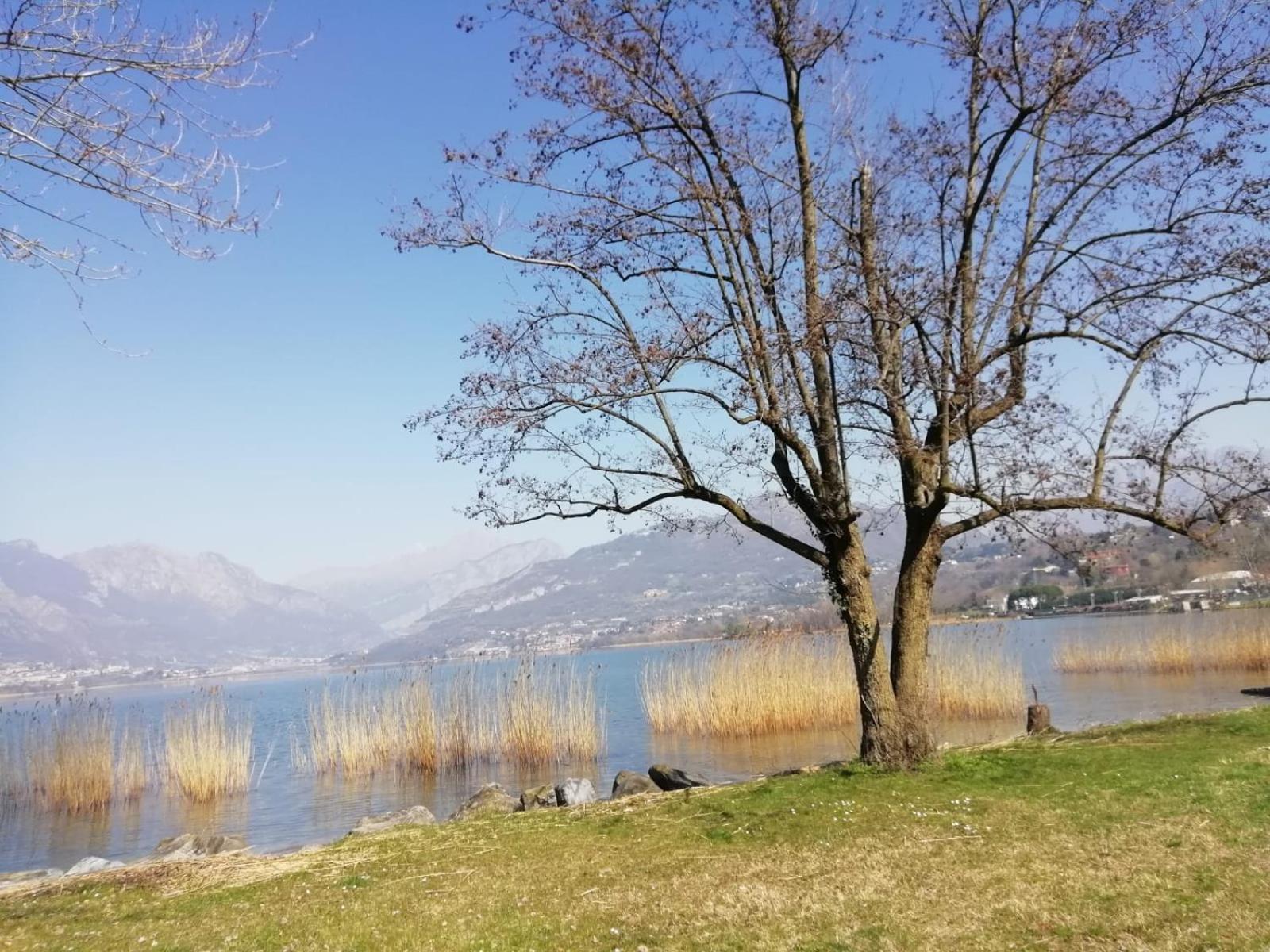 La Poesia Del Lago Oggiono Экстерьер фото